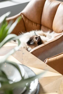 Armlehnstuhl Thinktank Braun