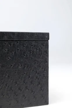 Box Crocodile Schwarz (2/Set)