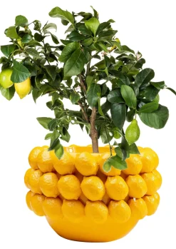 Deko Übertopf Lemon Juice 22cm