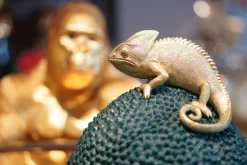 Deko Dose Chameleon 34