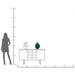 Deko Dose Jackfruit Chameleon 41cm