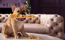 Deko Figur Butler Frenchy 40cm