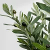 Deko Pflanze Olive Tree 150cm