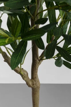 Deko Pflanze Olive Tree 150cm
