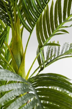 Deko Pflanze Palm Tree 190cm
