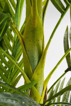 Deko Pflanze Palm Tree 190cm