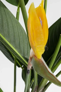 Deko Pflanze Paradise Flowers 190cm