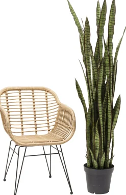 Deko Pflanze Sansewieria 155cm