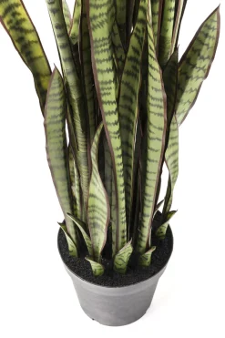 Deko Pflanze Sansewieria 155cm