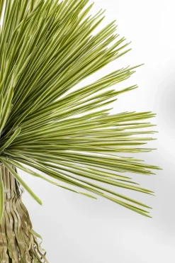 Deko Pflanze Yucca Rostrata 180cm