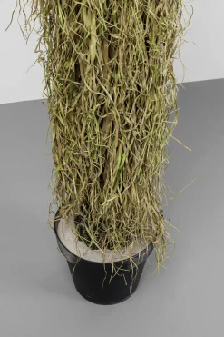 Deko Pflanze Yucca Rostrata 180cm