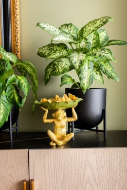 Deko Schale Banana Leaf 14x24cm