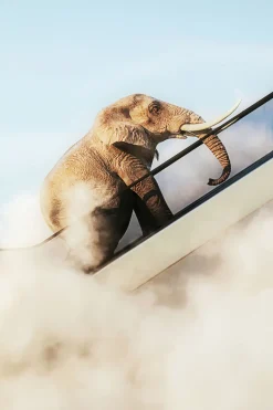 Gerahmtes Bild Elephant In The Sky 150x100cm