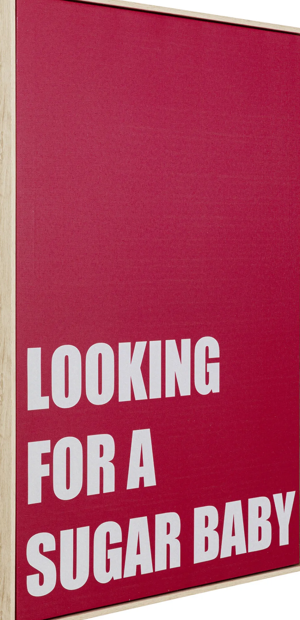 Gerahmtes Bild Sugar Baby 50x70cm