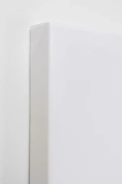 Leinwandbild Headdress Dog 80x80cm