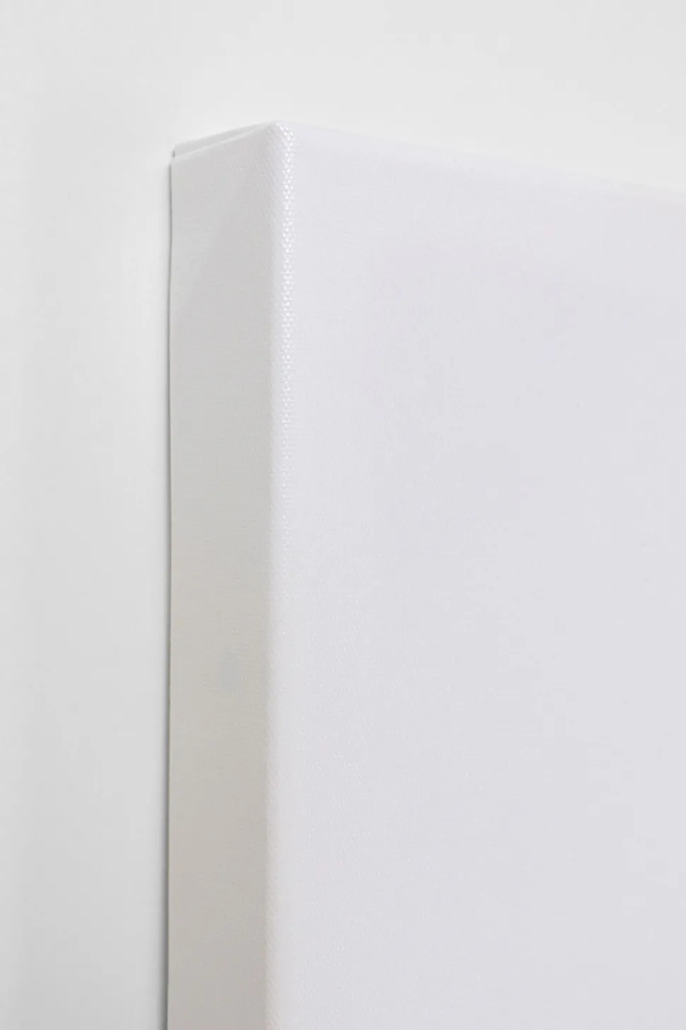 Leinwandbild Headdress Dog 80x80cm