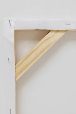 Leinwandbild Headdress Dog 80x80cm