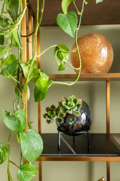 Regal Cesaro 90x170cm