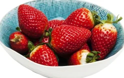 Schale Mustique Ø17