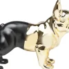 Spardose Bulldog Gold-Schwarz