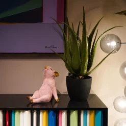 Spardose Chillax Pig