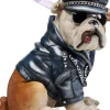 Spardose Punk Dog 22cm