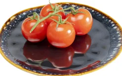 Teller Lio Dunkelblau Ø26cm