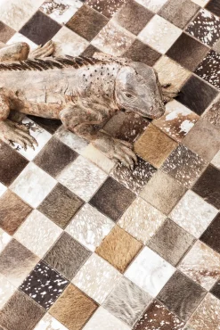 Teppich Cosmo Grau Fur 170x240cm