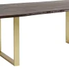 Tisch Harmony Dunkel Brass 160x80