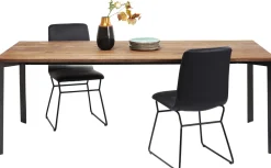 Tisch Phoenix 100x220cm