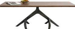 Tisch Roots Dark 220x100cm