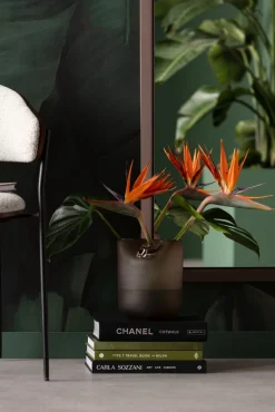 Vase Buckle Braun 21cm