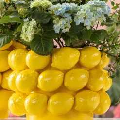 Vase Lemon Juice 19cm