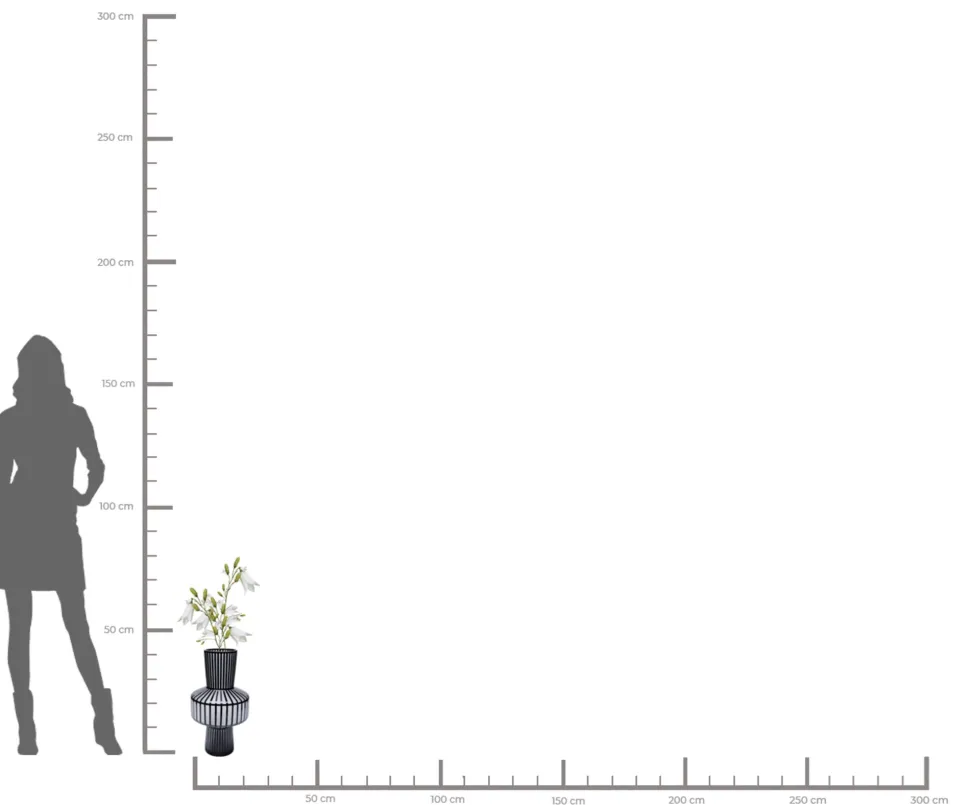 Vase Roulette Belly 42