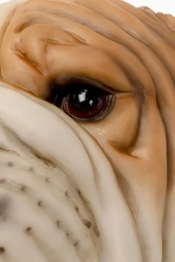 Wandleuchte Animal Dog Head 25cm